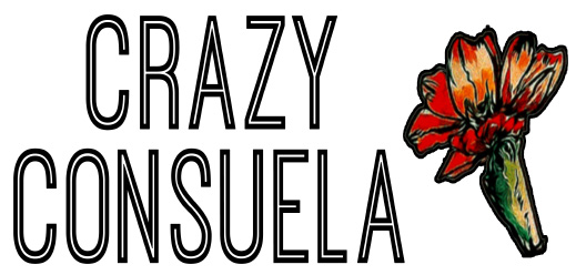 Consuela sales bags wholesale