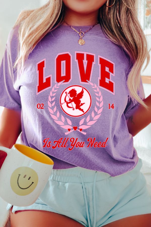 LOVE IS ALL YOU NEED COMFORT COLORS T-SHIRT
